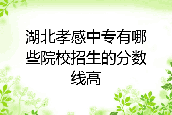 湖北孝感中专有哪些院校招生的分数线高
