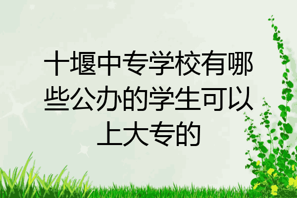 十堰中专学校有哪些公办的学生可以上大专的