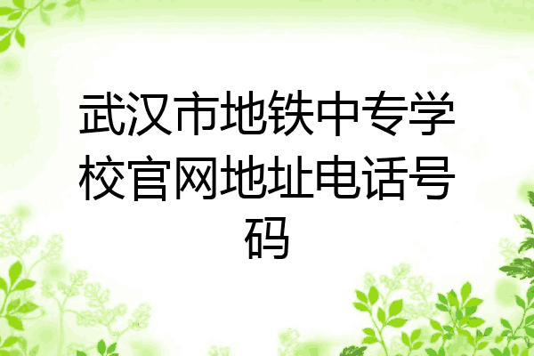 武汉市地铁中专学校官网地址电话号码