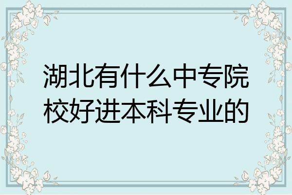 湖北有什么中专院校好进本科专业的