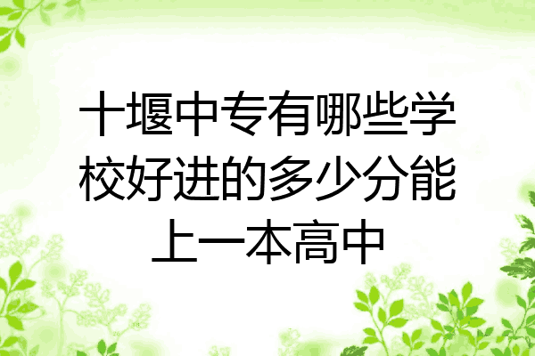 十堰中专有哪些学校好进的多少分能上一本高中
