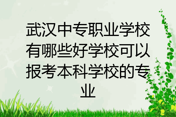 武汉中专职业学校有哪些好学校可以报考本科学校的专业
