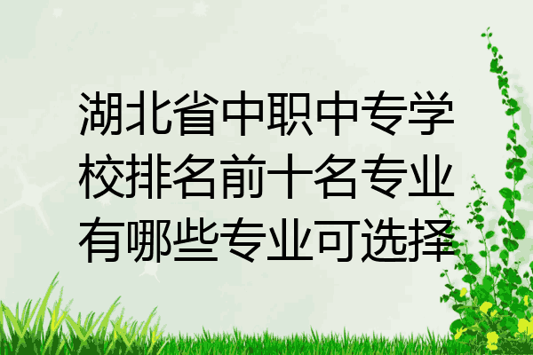 湖北省中职中专学校排名前十名专业有哪些专业可选择