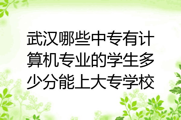 武汉哪些中专有计算机专业的学生多少分能上大专学校
