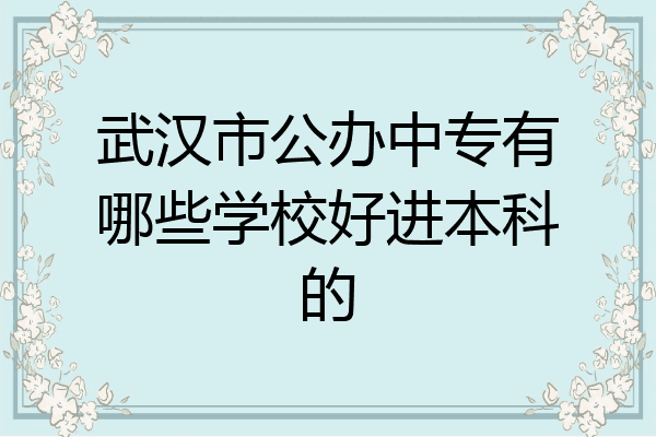 武汉市公办中专有哪些学校好进本科的