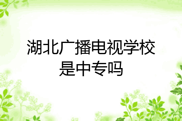 湖北广播电视学校是中专吗