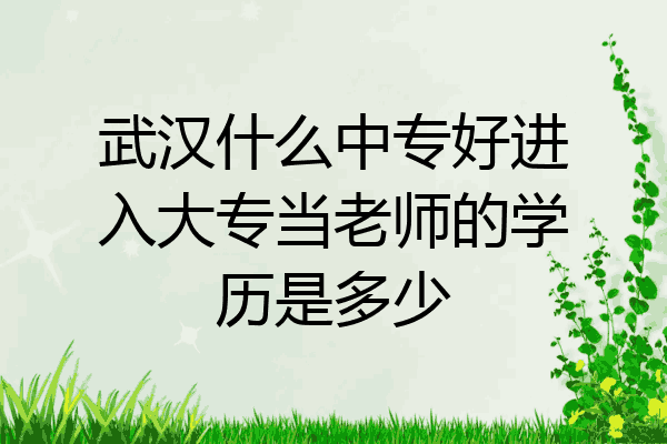 武汉什么中专好进入大专当老师的学历是多少