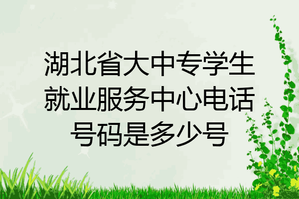 湖北省大中专学生就业服务中心电话号码是多少号