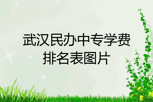 武汉民办中专学费排名表图片