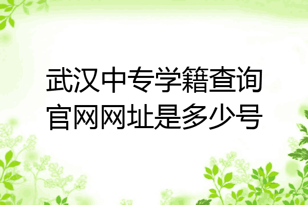 武汉中专学籍查询官网网址是多少号