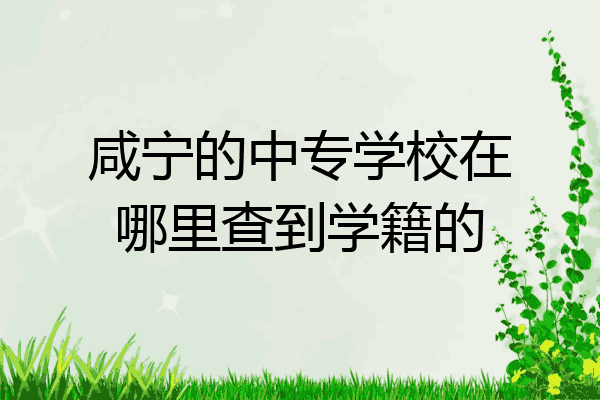 咸宁的中专学校在哪里查到学籍的