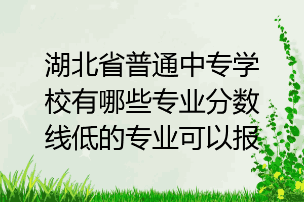 湖北省普通中专学校有哪些专业分数线低的专业可以报