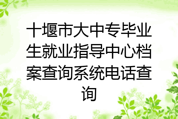 十堰市大中专毕业生就业指导中心档案查询系统电话查询