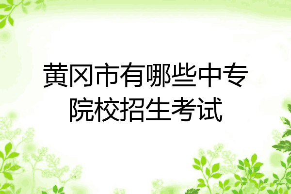 黄冈市有哪些中专院校招生考试