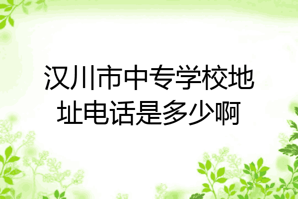 汉川市中专学校地址电话是多少啊