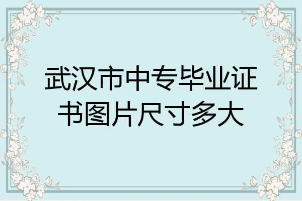 武汉市中专毕业证书图片尺寸多大