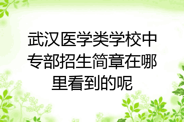 武汉医学类学校中专部招生简章在哪里看到的呢