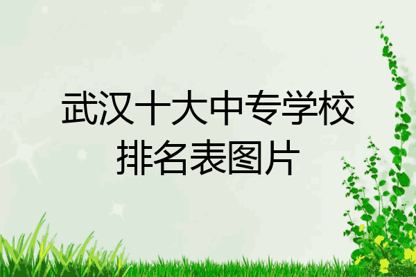 武汉十大中专学校排名表图片