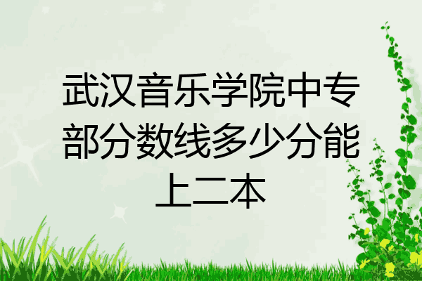武汉音乐学院中专部分数线多少分能上二本