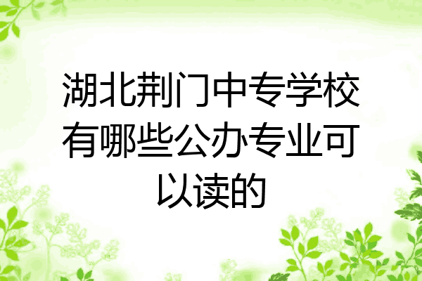 湖北荆门中专学校有哪些公办专业可以读的