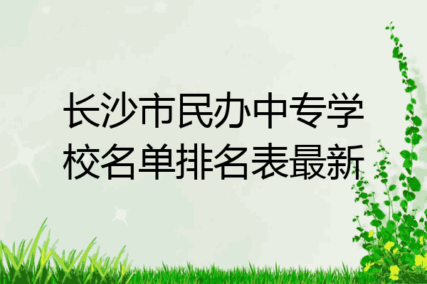 长沙市民办中专学校名单排名表最新
