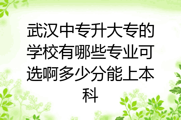 武汉中专升大专的学校有哪些专业可选啊多少分能上本科
