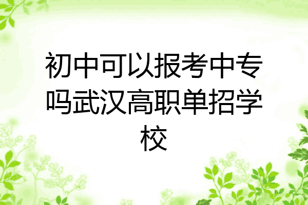 初中可以报考中专吗武汉高职单招学校