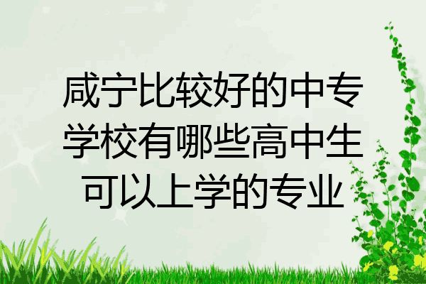 咸宁比较好的中专学校有哪些高中生可以上学的专业