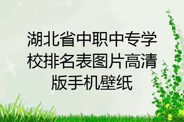 湖北省中职中专学校排名表图片高清版手机壁纸