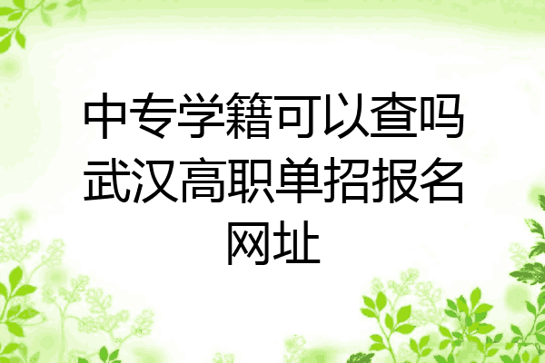 中专学籍可以查吗武汉高职单招报名网址