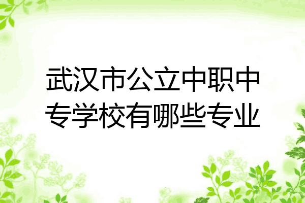 武汉市公立中职中专学校有哪些专业