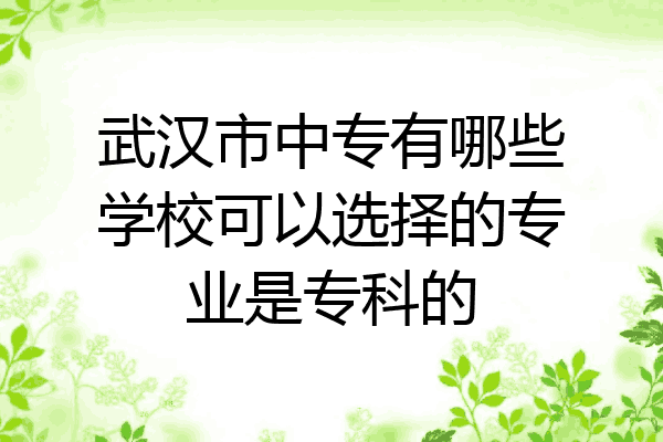 武汉市中专有哪些学校可以选择的专业是专科的