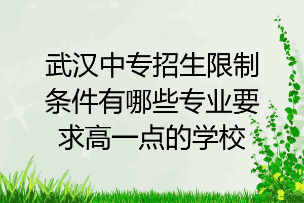 武汉中专招生限制条件有哪些专业要求高一点的学校
