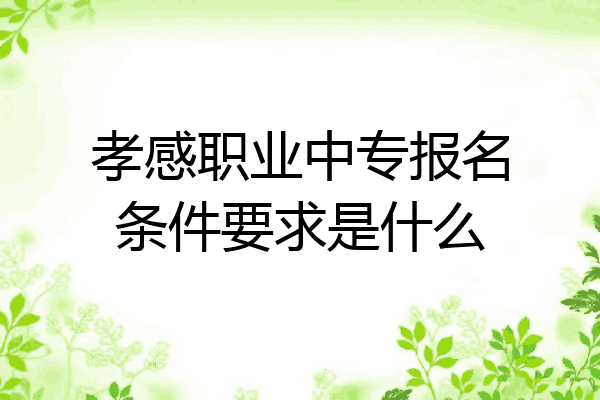 孝感职业中专报名条件要求是什么