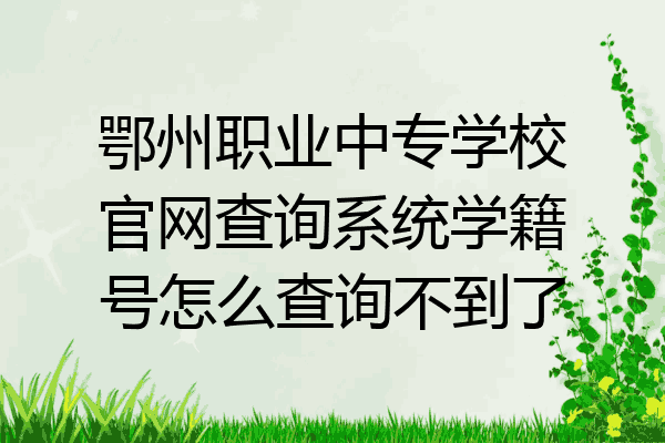 鄂州职业中专学校官网查询系统学籍号怎么查询不到了