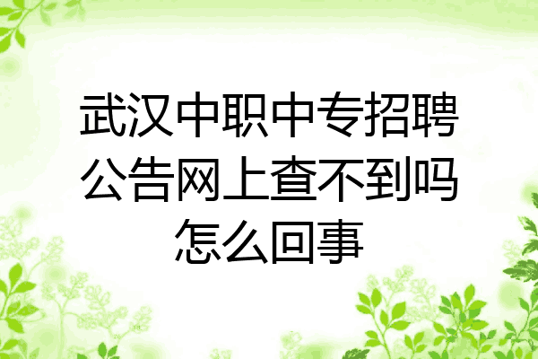 武汉中职中专招聘公告网上查不到吗怎么回事