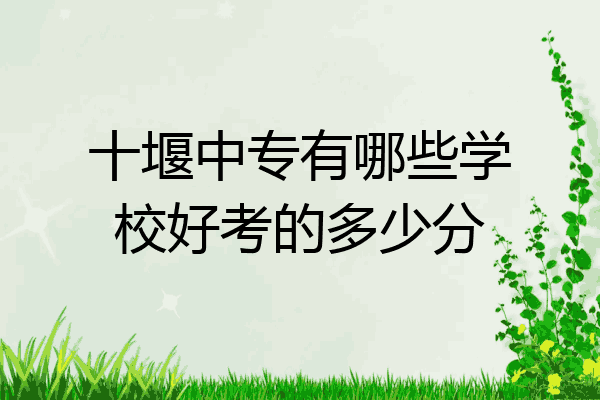 十堰中专有哪些学校好考的多少分