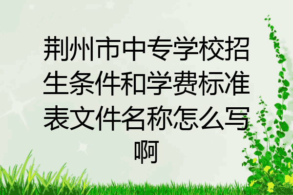 荆州市中专学校招生条件和学费标准表文件名称怎么写啊
