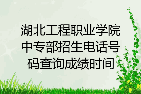 湖北工程职业学院中专部招生电话号码查询成绩时间