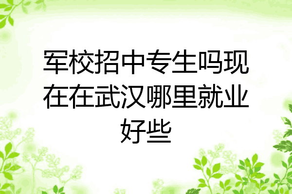 军校招中专生吗现在在武汉哪里就业好些