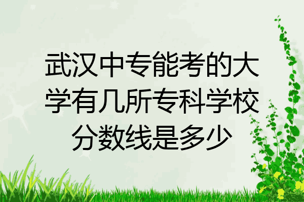 武汉中专能考的大学有几所专科学校分数线是多少