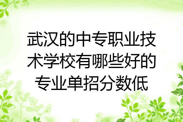 武汉的中专职业技术学校有哪些好的专业单招分数低