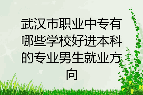 武汉市职业中专有哪些学校好进本科的专业男生就业方向