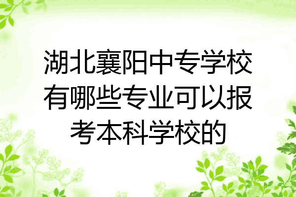 湖北襄阳中专学校有哪些专业可以报考本科学校的