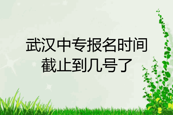 武汉中专报名时间截止到几号了