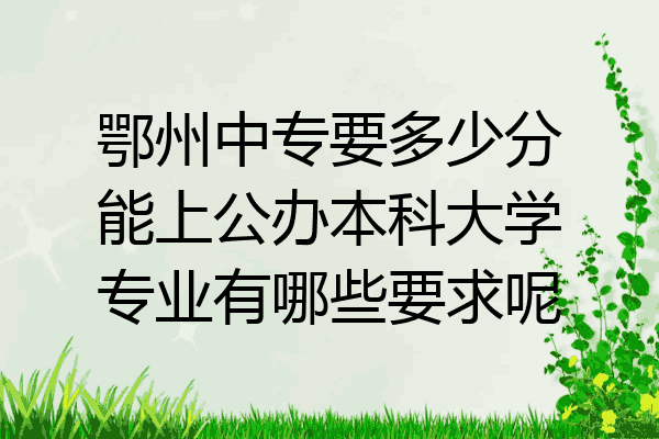 鄂州中专要多少分能上公办本科大学专业有哪些要求呢