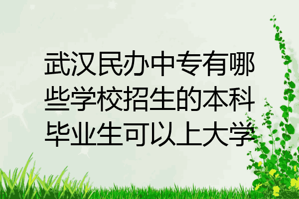 武汉民办中专有哪些学校招生的本科毕业生可以上大学