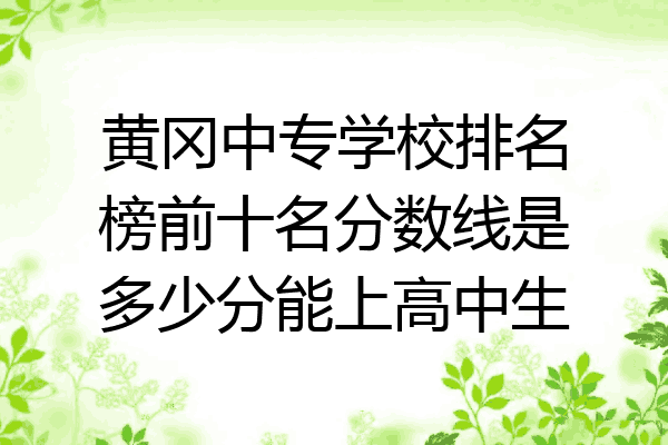 黄冈中专学校排名榜前十名分数线是多少分能上高中生