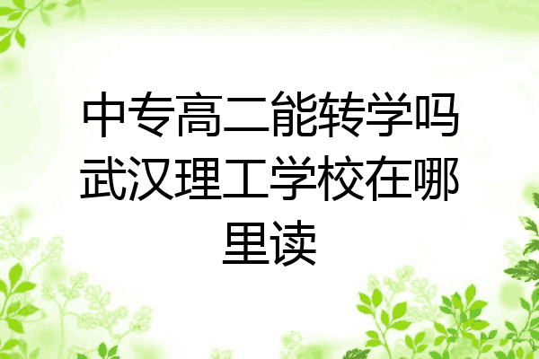 中专高二能转学吗武汉理工学校在哪里读