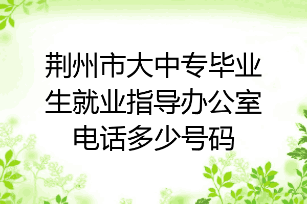 荆州市大中专毕业生就业指导办公室电话多少号码